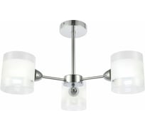 Потолочная люстра Evoluce SLE102802-03