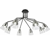 Потолочная люстра Evoluce SLE102902-08