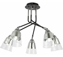 Потолочная люстра Evoluce SLE102902-05