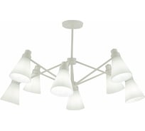 Потолочная люстра Evoluce SLE103502-08