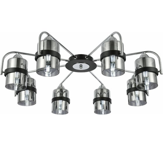 Потолочная люстра Evoluce SLE102002-08 1