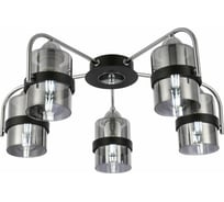 Потолочная люстра Evoluce SLE102002-05