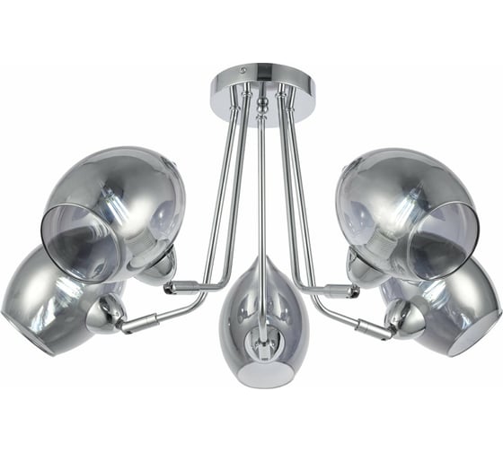 Потолочная люстра Evoluce SLE102402-05 1