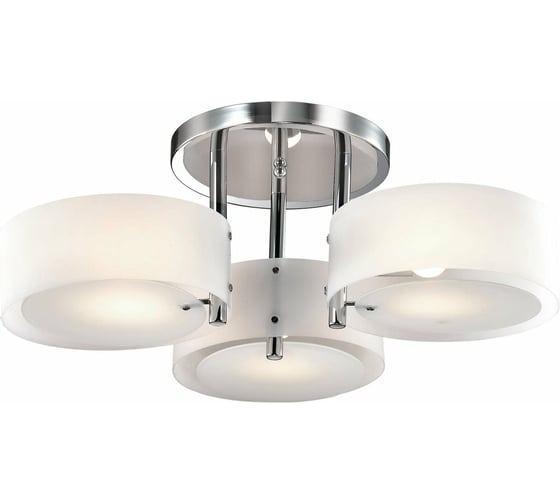 Потолочная люстра Evoluce SL483.502.03 1