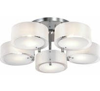 Потолочная люстра Evoluce SL483.502.05