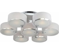 Потолочная люстра Evoluce SL483.502.07