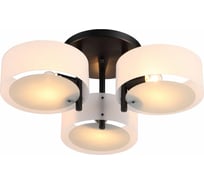 Потолочная люстра Evoluce SL483.402.03