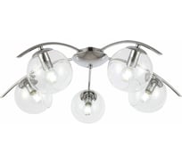 Потолочная люстра Evoluce SLE102602-05