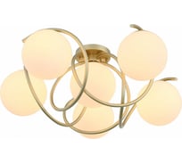 Потолочная люстра Evoluce SL711.202.06