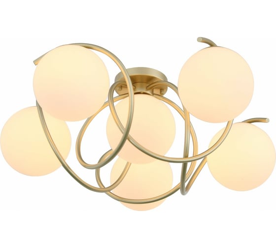 Потолочная люстра Evoluce SL711.202.06 1