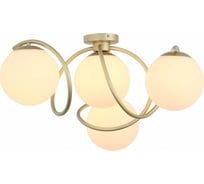 Потолочная люстра Evoluce SL711.202.04