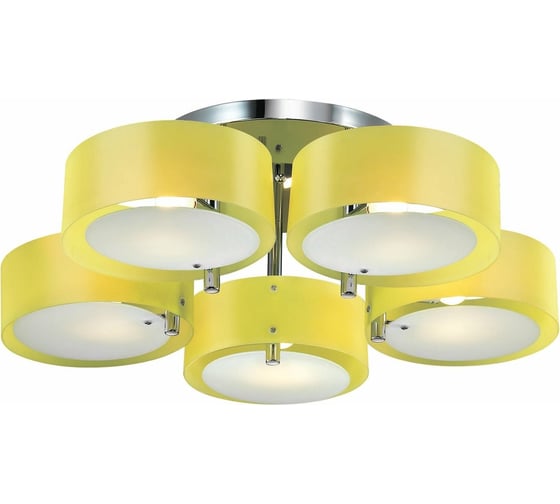 Потолочная люстра Evoluce SL483.092.05 1