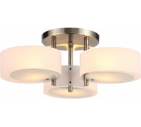 Потолочный светильник Evoluce SL483.352.03