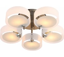 Потолочный светильник Evoluce SL483.352.05