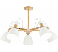 Потолочная люстра Evoluce SLE103802-05