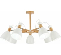 Потолочная люстра Evoluce SLE103802-07