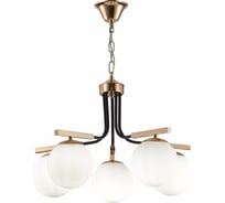 Подвесная люстра Evoluce SLE106803-05