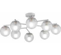 Потолочная люстра Evoluce SLE106602-08