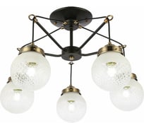 Подвесной светильник Evoluce SLE110302-05