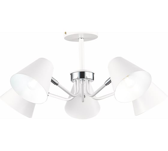 Потолочный светильник Evoluce SLE106702-05 1