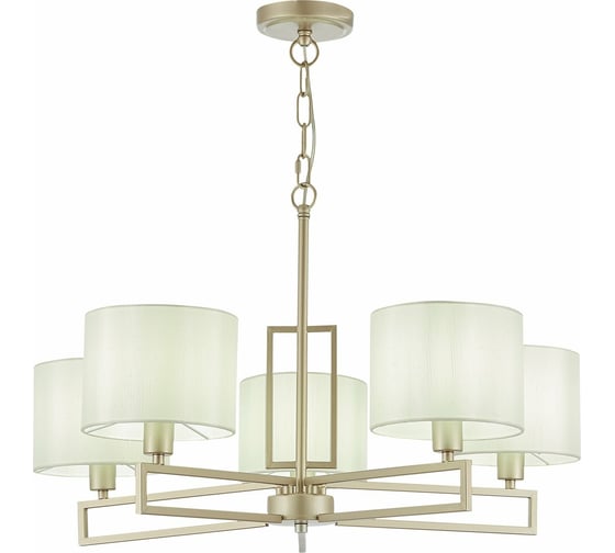 Подвесная люстра Evoluce SLE105803-05 1