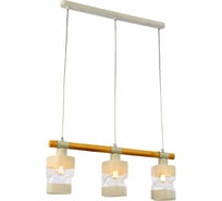 Подвесной светильник Evoluce SLE114503-03