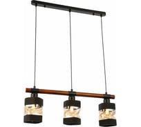 Подвесной светильник Evoluce SLE114403-03