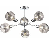 Потолочная люстра Evoluce SLE155102-06