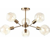 Потолочная люстра Evoluce SLE155302-06