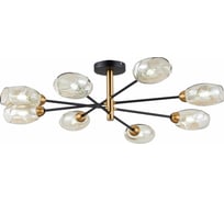 Потолочная люстра Evoluce SLE155502-08