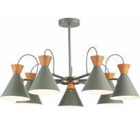 Потолочная люстра Evoluce SLE125112-07