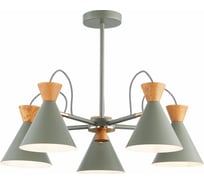 Потолочная люстра Evoluce SLE125112-05