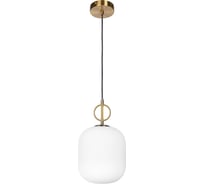 Подвесной светильник Divinare 5014/18 SP-1