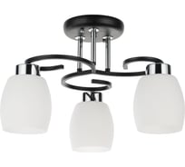 Потолочный светильник ARTE LAMP A4505PL-3BK
