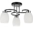 Потолочный светильник ARTE LAMP A4505PL-3BK 1
