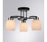 Потолочный светильник ARTE LAMP A4505PL-3BK 2