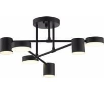 Потолочная люстра Evoluce SLE201042-06