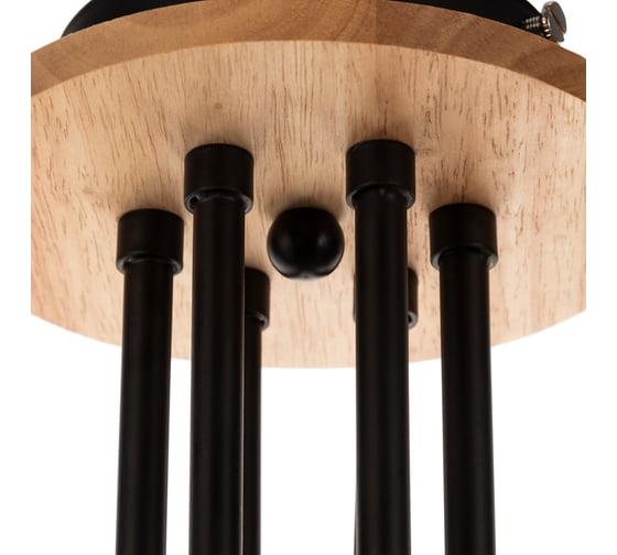 Потолочный светильник ARTE LAMP A2716PL-6BK