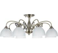 Потолочный светильник ARTE LAMP A3037PL-8AB