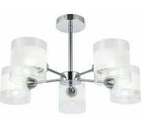 Потолочная люстра Evoluce SLE102802-05