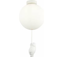 Потолочный светильник Evoluce SLE115412-01