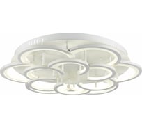 Потолочный светильник Evoluce SLE200502-12