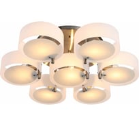 Потолочный светильник Evoluce SL483.352.07