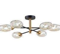 Потолочная люстра Evoluce SLE155502-06