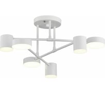 Потолочная люстра Evoluce SLE201052-06