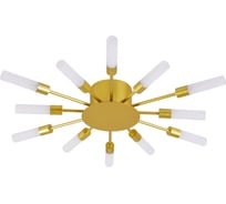 Потолочный светильник ARTE LAMP A1276PL-12GO