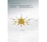 Потолочный светильник ARTE LAMP A1276PL-12GO 5