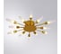 Потолочный светильник ARTE LAMP A1276PL-12GO 2