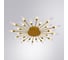 Потолочный светильник ARTE LAMP A1276PL-24GO 4