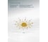 Потолочный светильник ARTE LAMP A1276PL-24GO 3